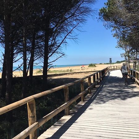 Appartamenti Narcisi Bibione Exterior foto